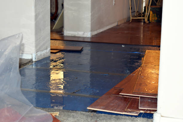 Professional Burst Pipe Cleanup technician working in Louisburg, NC